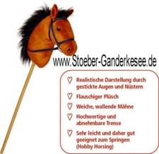 Steckenpferd Dusty, Pferd