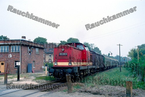 Fotoabzug 10x15 110 - pe-fotoabzug,