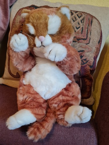 Tchibo tom kater katze - tchibo, /