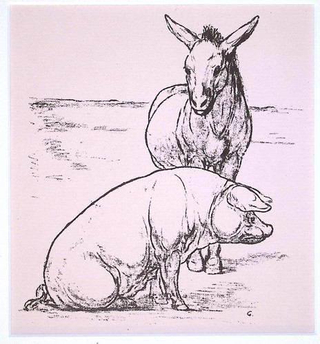 August gaul esel und - esel, schwein