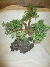 Kunstbaum auf Lavastein