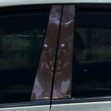 2x Leopard Auto Autotür B