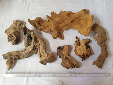 Set 6 Stück Wurzeln Mopani