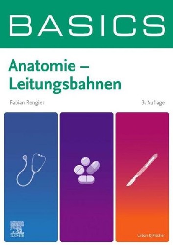 Basics anatomie - basics,