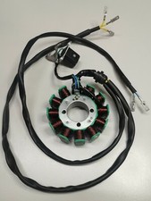 Stator Lichtmaschine Spule Roller Minibike Pocket Dirt Bike ATV 12 Pole 3 Phasen