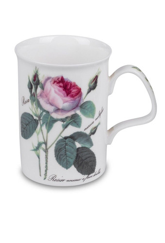 Roy kirkham redoute roses - roy,