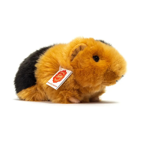Teddy hermann meerschweinchen - teddy,