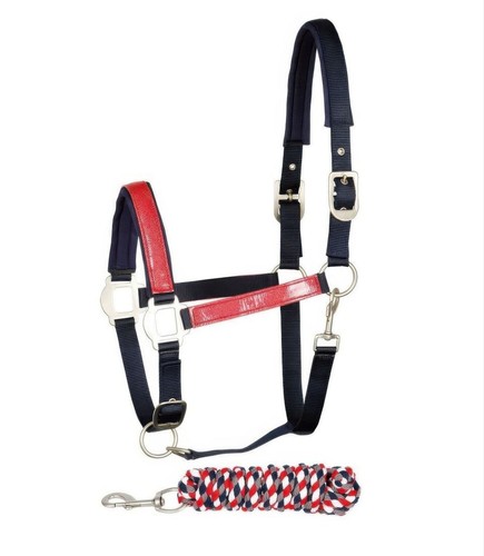 Pferde halfter shine mit - pferde,