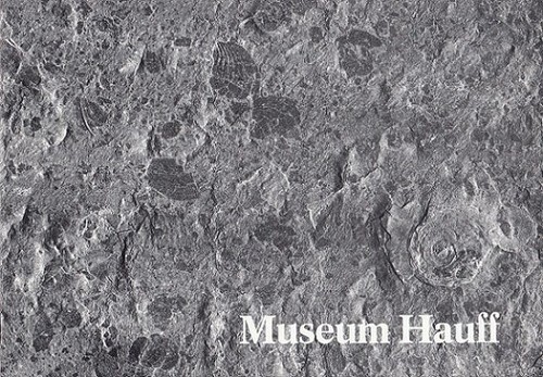 Museum hauff holzmaden - museum,