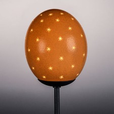 Lampenschirm Straußenei "Sterne überall" Handarbeit Lampe Aufsatz für Tischlampe