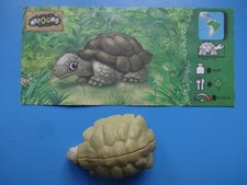 2019 - DV-282 - Panzertiere - Schildkröte + BPZ