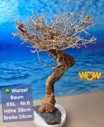 Aquarium wurzel bonsai - 🌳aquarium,