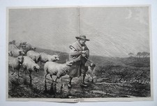 Der gute Hirte. Schafe, Schäfer, Hund, Schafherde, Holzstich um 1880