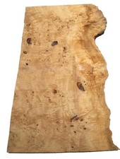 1x Pappel Maser Mapa Baumscheibe 91x48-58cm x 49-55mm