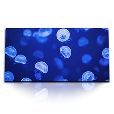 120x80cm Kunstdruck Bilder