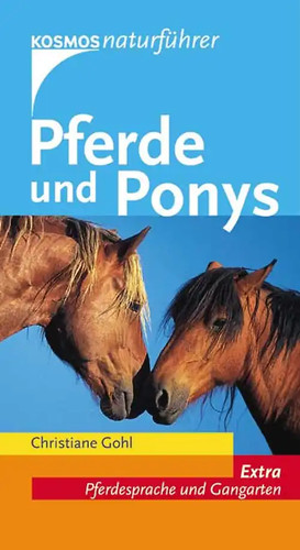 Pferde und ponys - pferde,