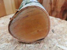 Drechselholz Birke Ø 9 cm x