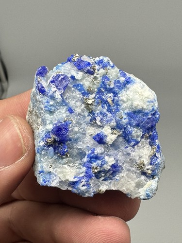Very rare royal - very, blue