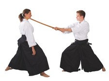 Phönix hakama kendo aikido - phönix, &