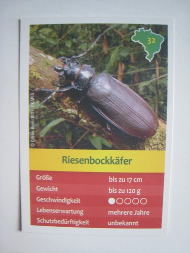Entdecke brasilien - entdecke,