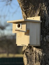 Meisennistkasten mit specht - mit, specht-