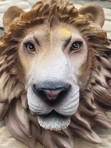 Löwe lion figur wandfigur - lion,