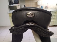 Barefoot Sattel Lexington