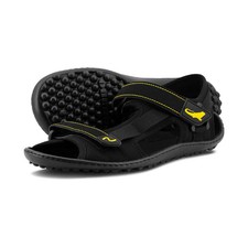 Leguano ATTREKKTIVE -