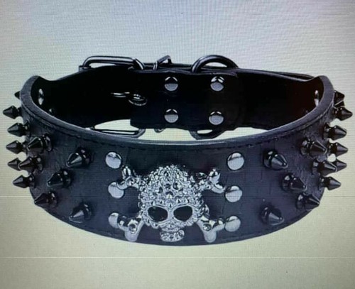 Skull bones halsband schwarz - skull,
