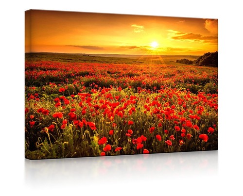 Beleuchtetes bild led - bild,