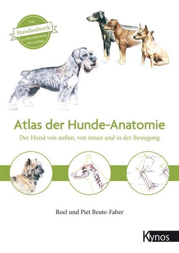 Atlas der hundeanatomie - atlas,