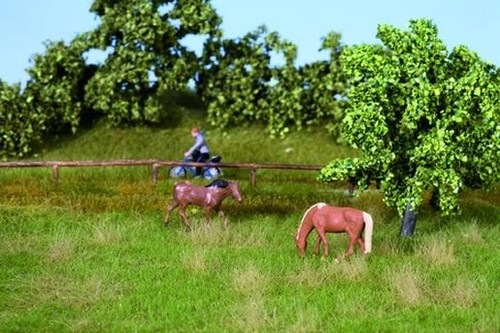 Noch natur wiese sommer - natur,