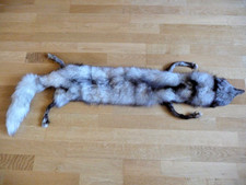 Silberfuchs-Stola in silber /