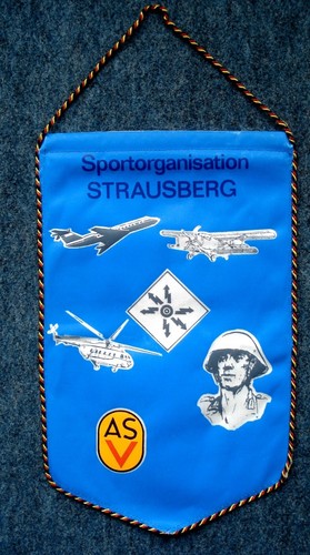 Großer ddr wimpel - großer,