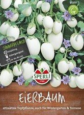 Eierbaum (Solanum) Essbare Früchte