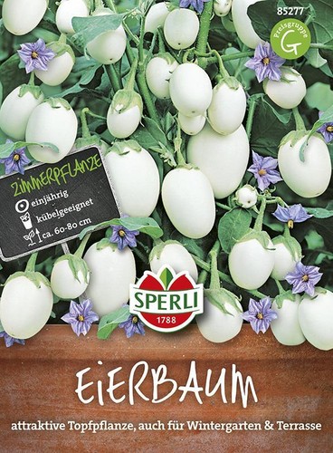 Eierbaum essbare - eierbaum,