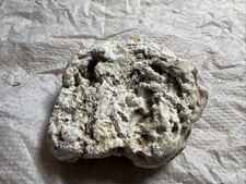 Ambergris Ambra Ca. 17g