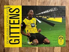GITTENS BVB BORUSSIA DORTMUND