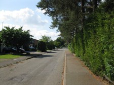 Foto 6x4 Gorsefahrt Norden die