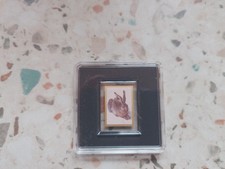 Gold 999 1/500 Unze Albrecht Dürer Feldhase