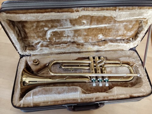 Bufon trompete - b-trompete, –