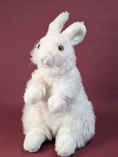 Hase schneehase wwf weiß - hase,