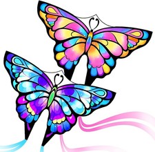 Drachen Kinder Erwachsene