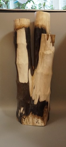 Versteinertes holz skulptur - holz,
