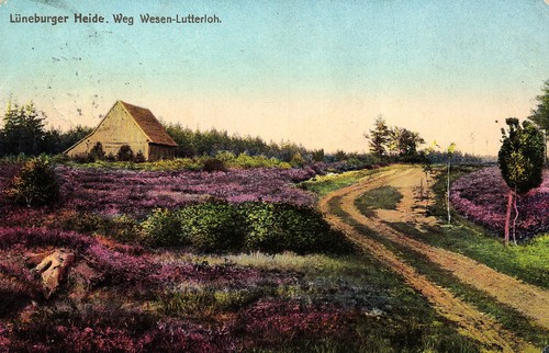 Lüneburger heide weg - lüneburger, heide,