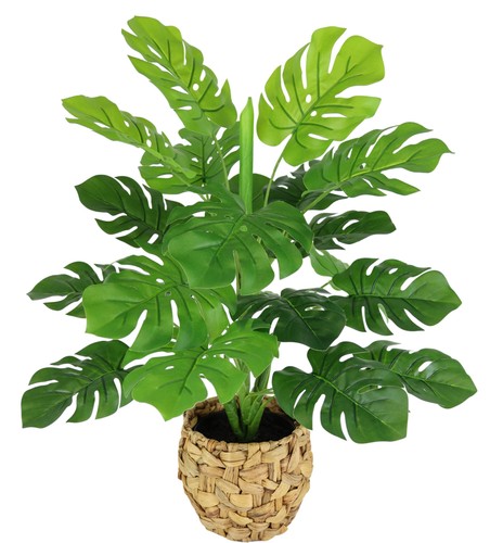 Kunstpflanze monstera topf - monstera,