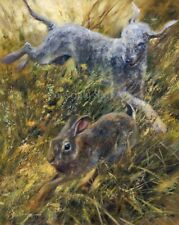 Mick Cawston 'Rabbiting'