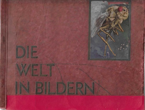 Sammelbilder album die welt - album,