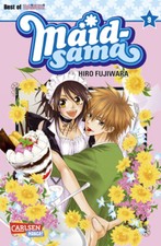 Maid Sama 9