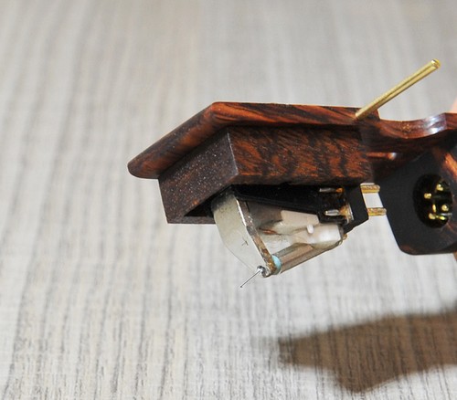New wooden body naked - wooden,